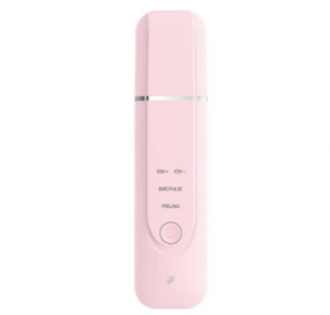 Inface Ultrasonic Ion Cleansing Instrument