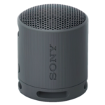 SONY SRS-XB100