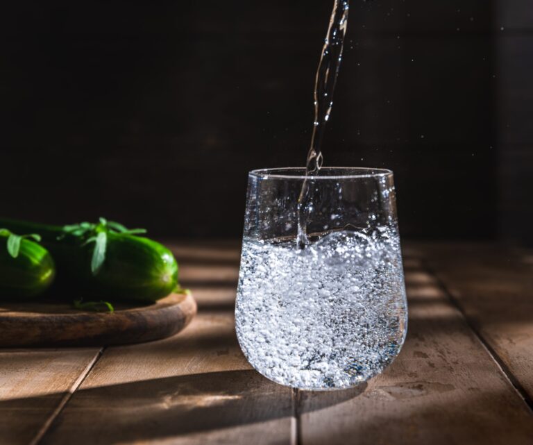 saturator SodaStream