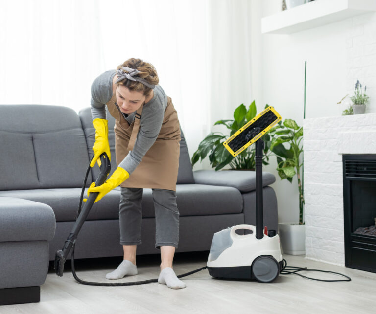 myjka parowa Karcher