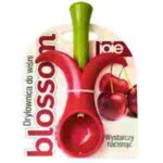 JOIE BLOSSOM 067742304551