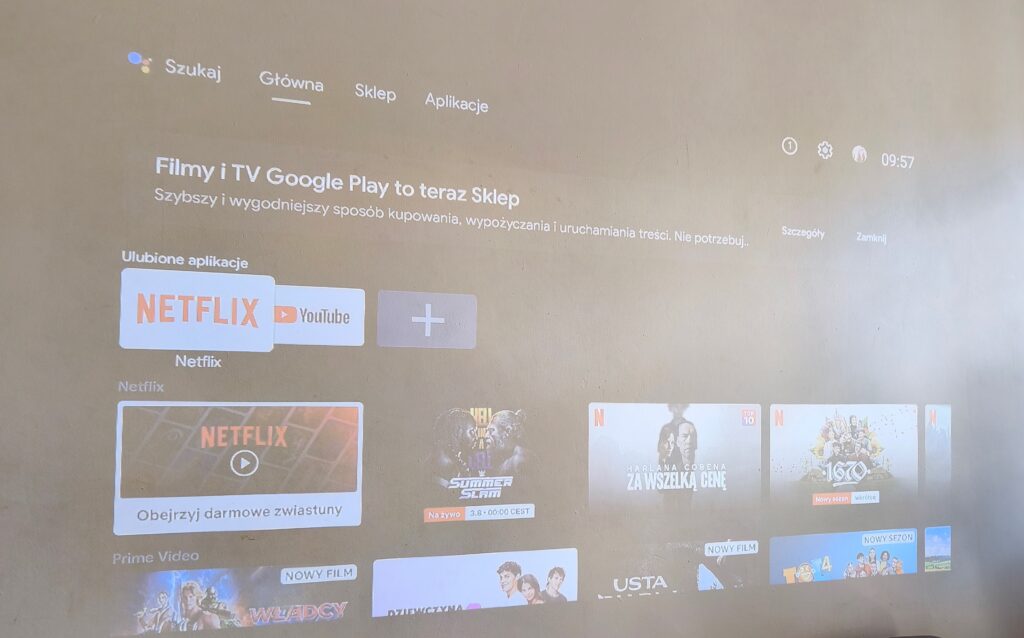 ETOE Whale Pro obraz w dzień