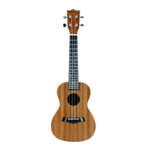 MUSIC MATE U-02