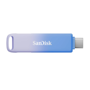 SANDISK Creator 256GB